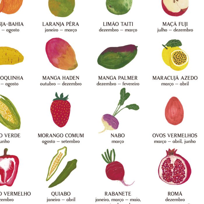 pôster sazonalidade de frutas, legumes e verduras - Image 4